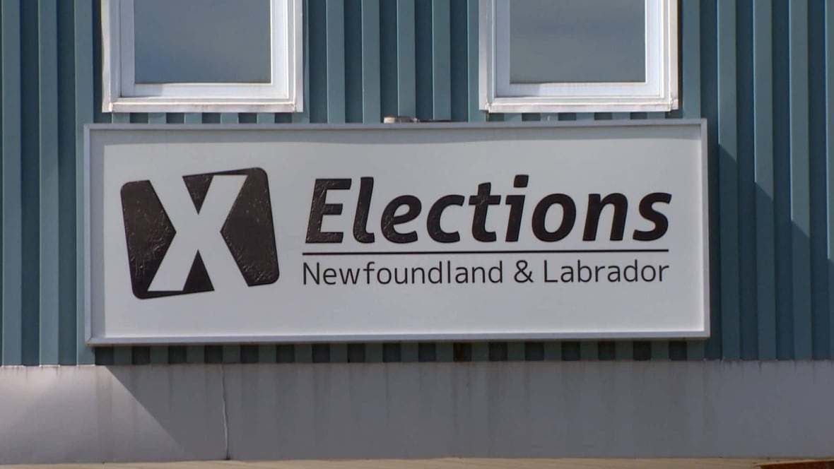 Cecilia Carroll worries that people living with disabilities are going to be unable to vote this election due to accessibility issues.