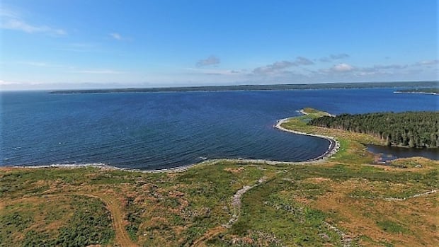 Nova Scotia's Sustainable Aviation Fuel Project Gains Momentum in Guysborough County