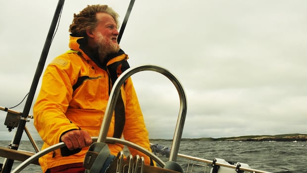 What's cooler than a dead sperm whale? A living sperm whale — and its poop, this expert says