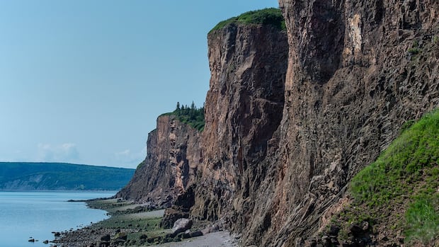 Cliffs of Fundy secures UNESCO ‘green card’ for another four years