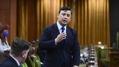 China announces sanctions on Canadians, including MP Michael Chong