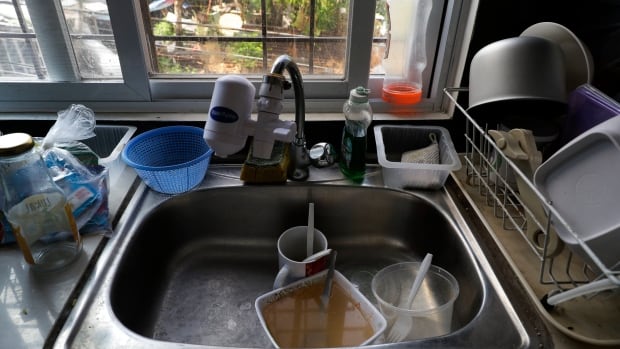 Feel like you're always cleaning during the pandemic, yet your house i... image