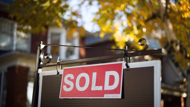 Winnipeg homebuyer who says he found mushrooms growing from basement carpet, 'deluge of water' sues seller