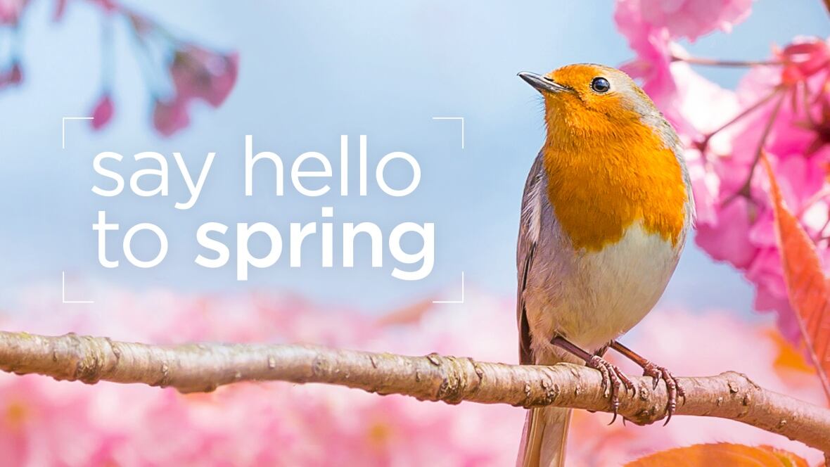 Share your photos and videos of what spring looks like in Edmonton