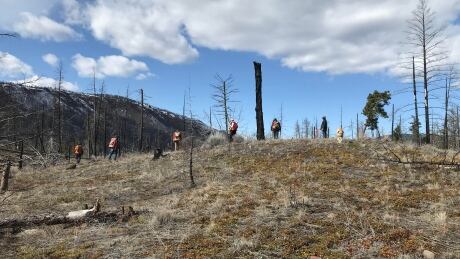 Skeetchestn Natural Resources team surveying Back Valley