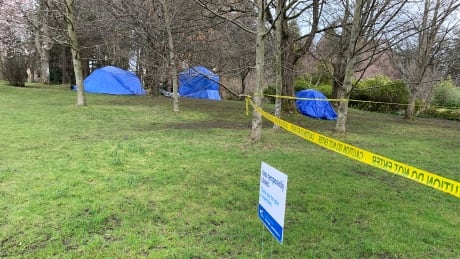 Homeless tents in Beacon Hill Park, Victoria, March, 2021.
While the City of Victoria and B.C. government pledge to provide homes or shelter to everyone camping in parks by May, Gavin Torvik of the Victoria Tenant Action Group says more people continue to lose their housing during the pandemic. Beacon Hill Park homeless tenters