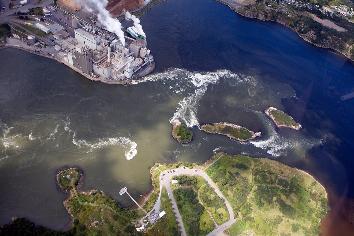 A drone shot of Reversing Falls and the islands that surround the area