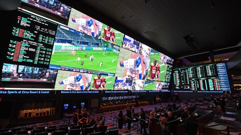 Sports gambling has victims — and they are typically highly educated young  men | CBC News