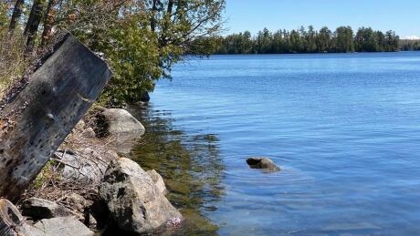 Watersheds Canada says landowners should keep 75 per cent of their shorelines natural because the majority of aquatic and land-based wildlife need to have a natural shoreline at some point in their life cycle.  White Lake shoreline
