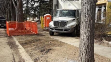 In just over two years, the city found nearly 200 work sites left in poor condition with different levels of damage to City trees. Tree bylaw