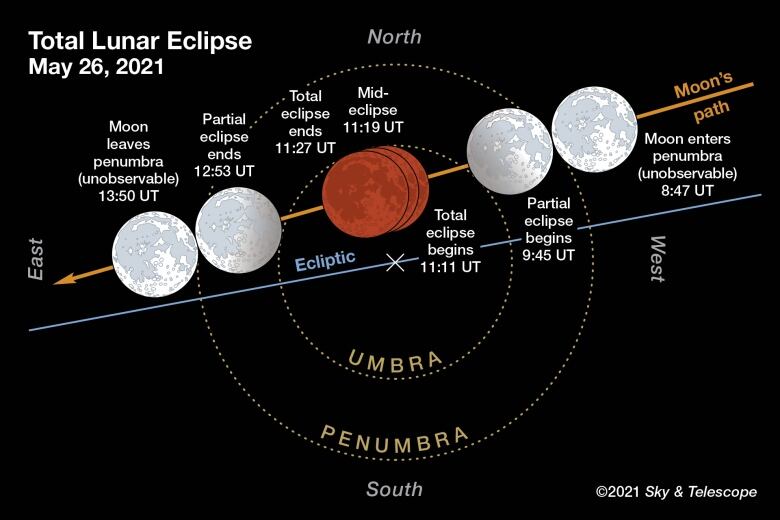 Eclipse May 5 2024 Astrology Rina Veriee