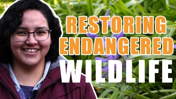 Connecting queer Indigenous identity and land restoration to save wildlife