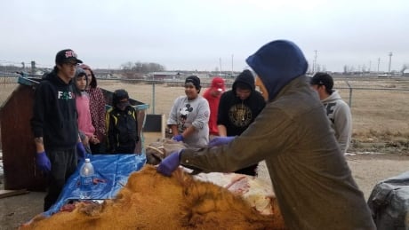 Youth at Samson Cree Nation learning how to use every part of an animal. (Photo from before the pandemic) Kacey Yellowbird