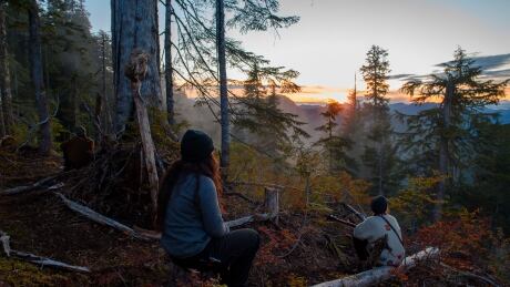 Activists from Ridge Camp watch the sunset from the top of the Fairy Creek watershed. Most have vowed to continue their opposition despite the recently negotiated two-year deferment of logging in the Fairy Creek and central Walbran areas. Ridge Camp