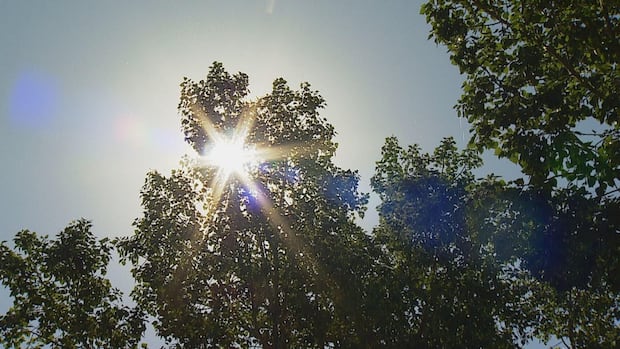 Sweltering temperatures expected as heat warnings issued for most of Alberta