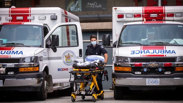 Union calls for better support for paramedics amid ‘profound mental health crisis’