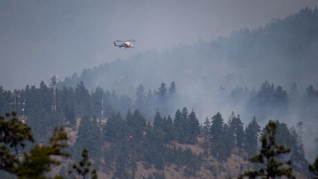 Scientists predict billions of dollars in suppression and indirect fire costs if climate change and fire causes are not resolved. Wildfires BC 20210702