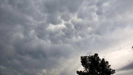 Storm clouds threaten Oyen, Alta., around 5:30 p.m. on Tuesday. A tornado warning was issued for the region at 5:15 p.m. Storm clouds Alberta tornado warning thunderstorm weather