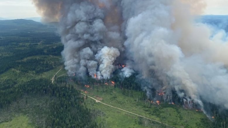 Wildfire Risk To Remain High In B C This Summer Outlook Suggests Cbc News