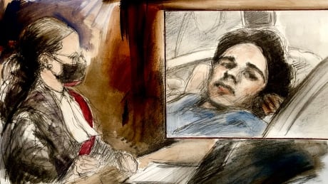 Brady Robertson, pictured in inset top right, from a photo taken in hospital after a Brampton crash that killed a mother and three young daughters. Her Honour Justice Sandra Caponecchia, bottom left, presided over a Zoom trial on Monday.
Brady Robertson - sketch 1