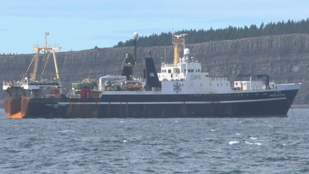 No new cases of COVID-19 in N.L., but 3 more confirmed positive aboard ship in Conception Bay