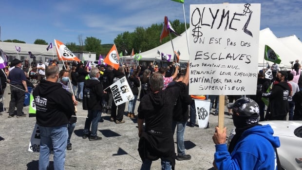 Major labour strikes in Quebec meat industry lead to food waste and demands for change