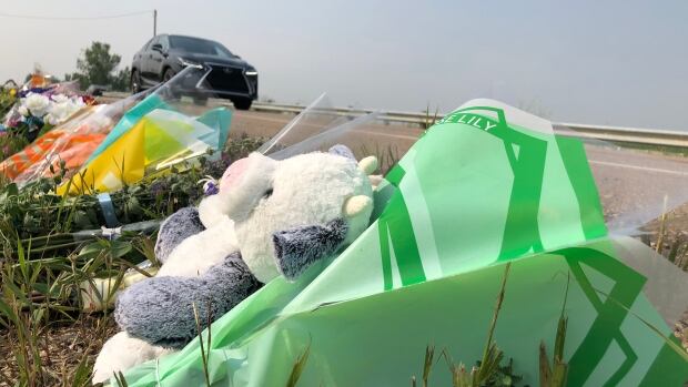 Students gather at Springbank high school to mourn classmates killed in car crash