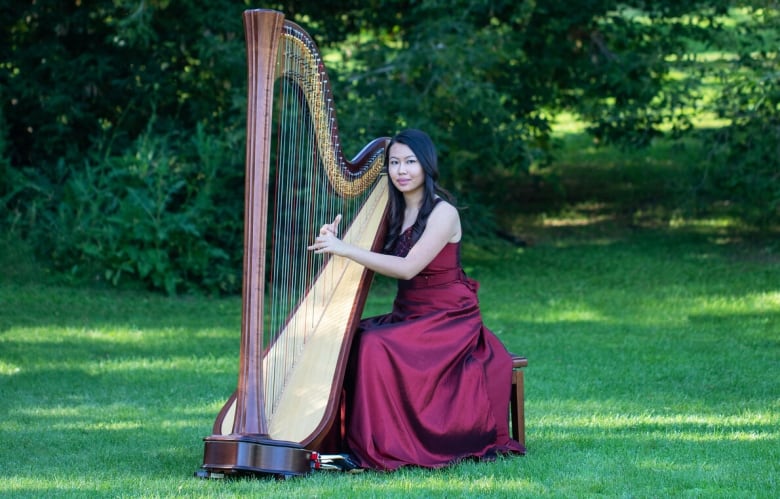 The Strad - The Girls in the Magnesium Dress: Expanding repertoire for  double bass and harp duo