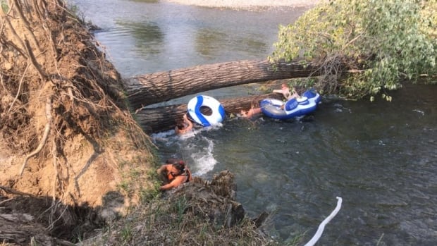 Family rescued after tubing accident pushes them against fallen trees in West Kootenay river