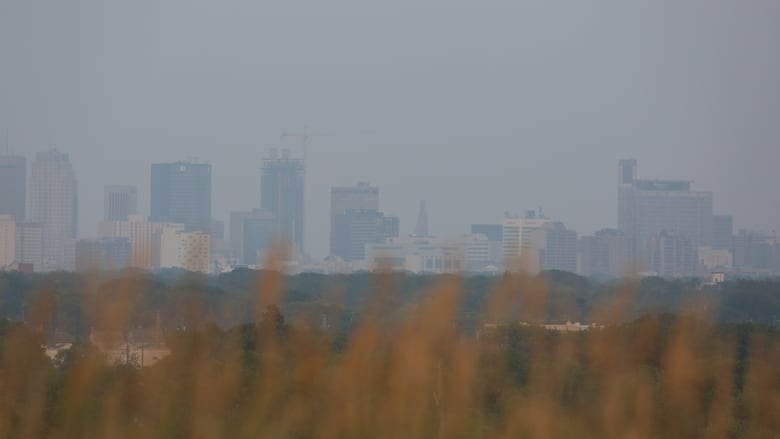 Smoky, hazy city skyline
