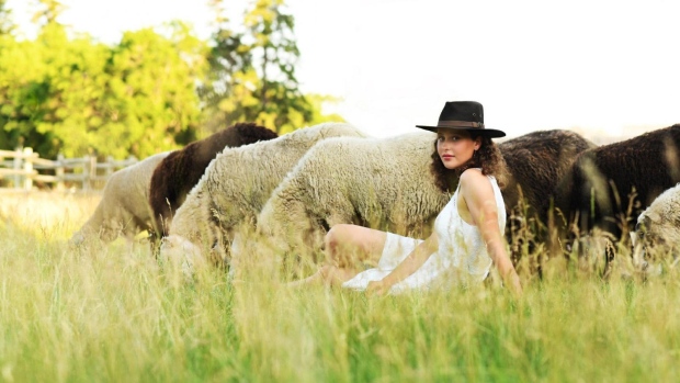 Meet the new shepherd of the famed flock of sheep at Fort Saskatchewan | CBC News