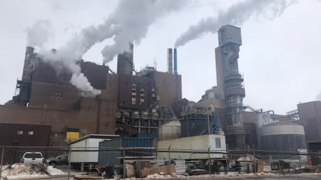 The owners of Northern Pulp mill want a year extension to build a new treatment facility, saying they can't meet the Jan. 31, 2020 deadline. (David Gutnick/CBC) See exterior of Northern Pulp, smokestacks smokin'. Northern Pulp mill