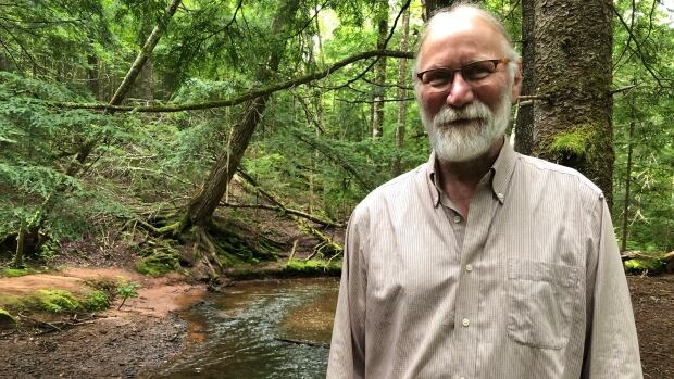 'We can't just make stuff up,' says forestry expert on management practices