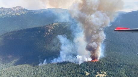 A 20-hectare wildfire, known as the Fat Dog Creek fire, is seen from a B.C. Wildfire Service aircraft roughly 54 kilometres southeast of Hope B.C. on July 30, 2021. Manning Park wildfire July 30, 2021
