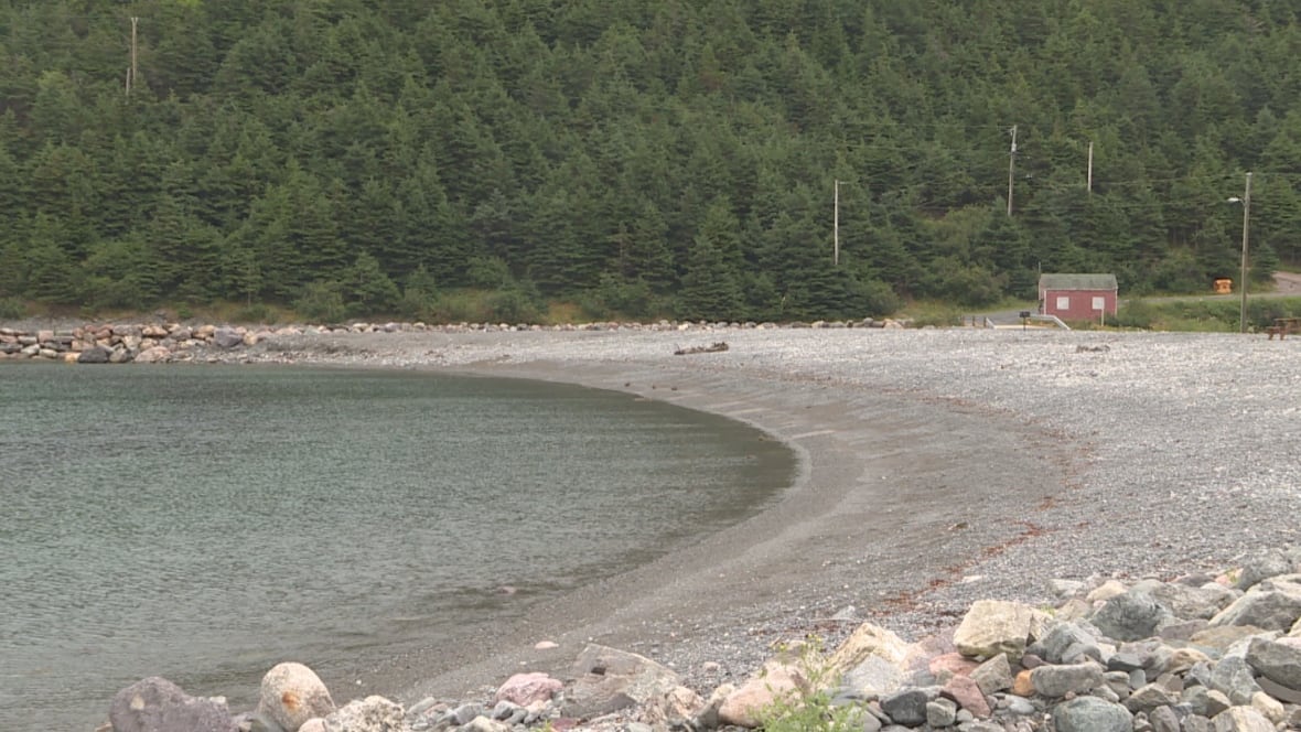 Chapel's Cove beach is finally reopened, but resident says town is ill