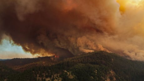 The White Rock Lake wildfire northwest of Vernon sends large clouds of smoke into the sky on Aug. 1, 2021. White Rock Lake wildfire