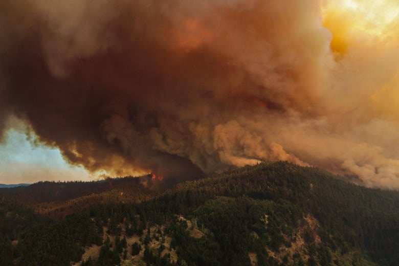 White Rock Lake Wildfire