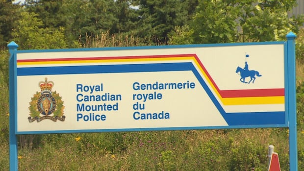 One dead after crash with moose on TCH near Whitbourne