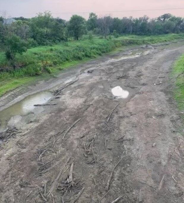 In cities and on the land, Manitoba holds possible answers to climate