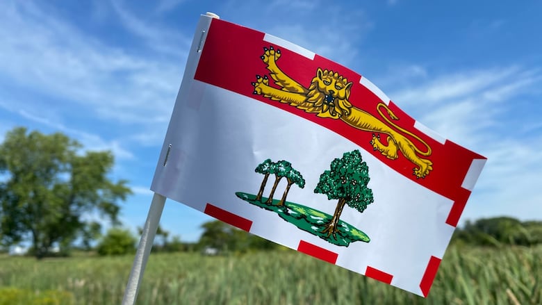 Small PEI flag