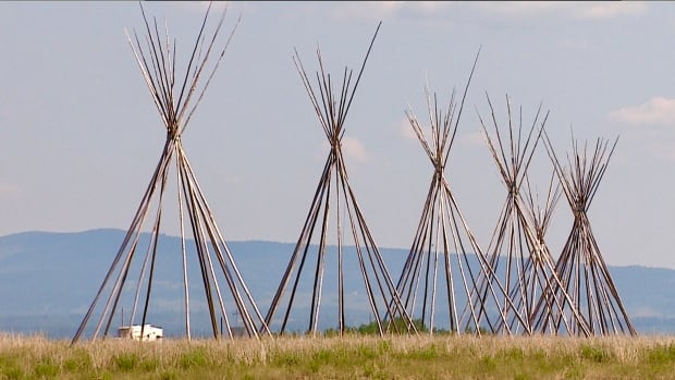 Indigenous leaders push for creation of mandatory elders wisdom panels on resource projects