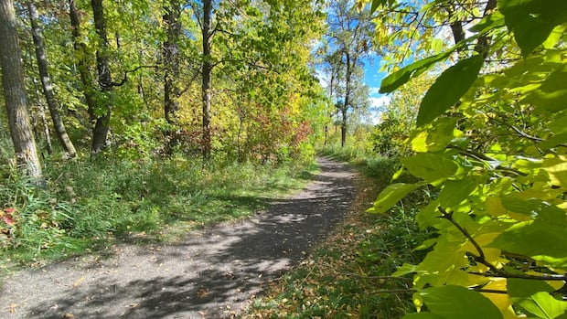 Permits allowing guns, ATVs in backcountry are unfair as the public stays barred: Whiteshell cottager