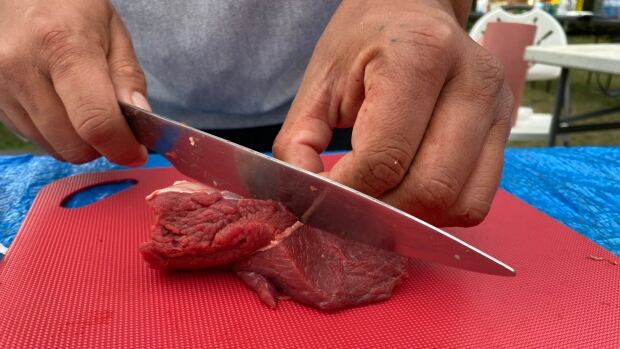 Moose butchering workshop at Tsuut'ina Nation aims to pass on traditional knowledge