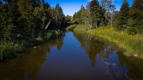 In total, there are 1,719 individual natural assets in the new inventory. Wright's Creek 2