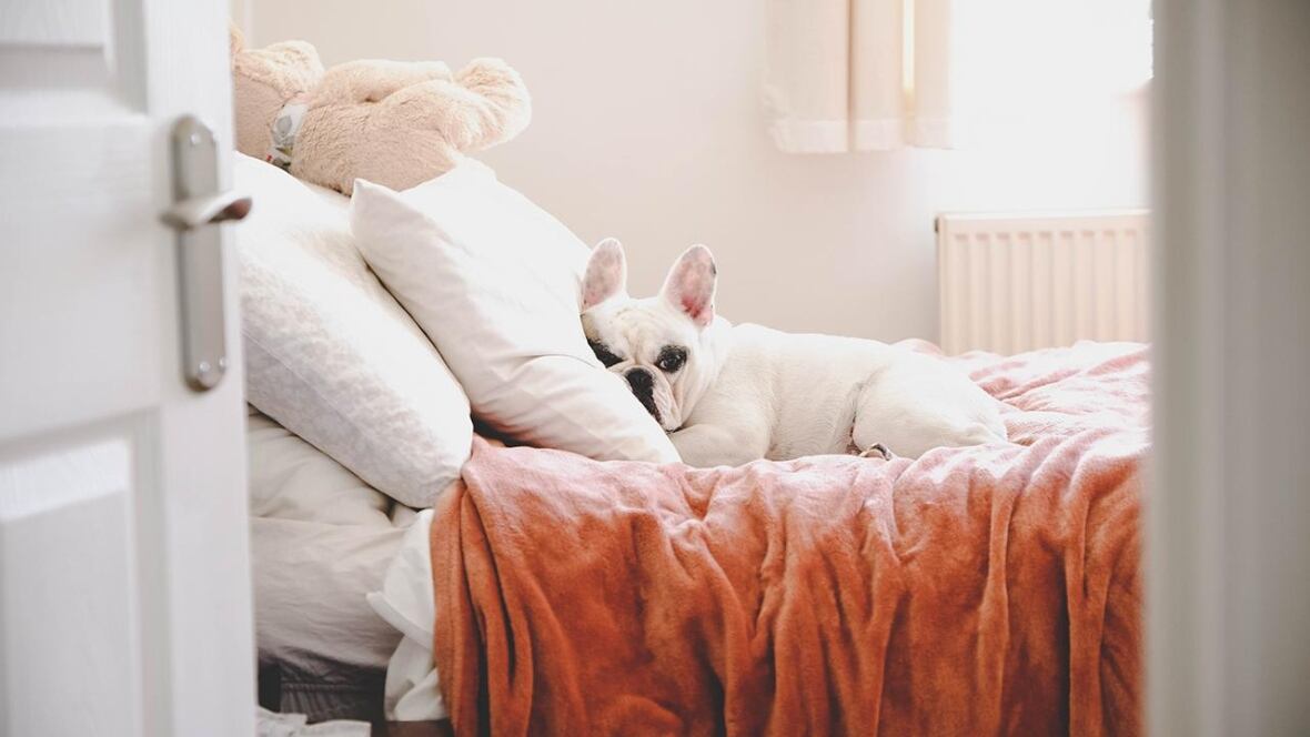 How to shop for a new pillow CBC Life