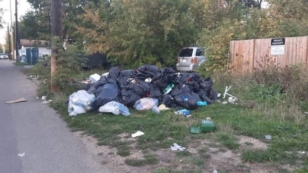 From flowers to art, Alberta Avenue residents are reimagining the view from its alleys