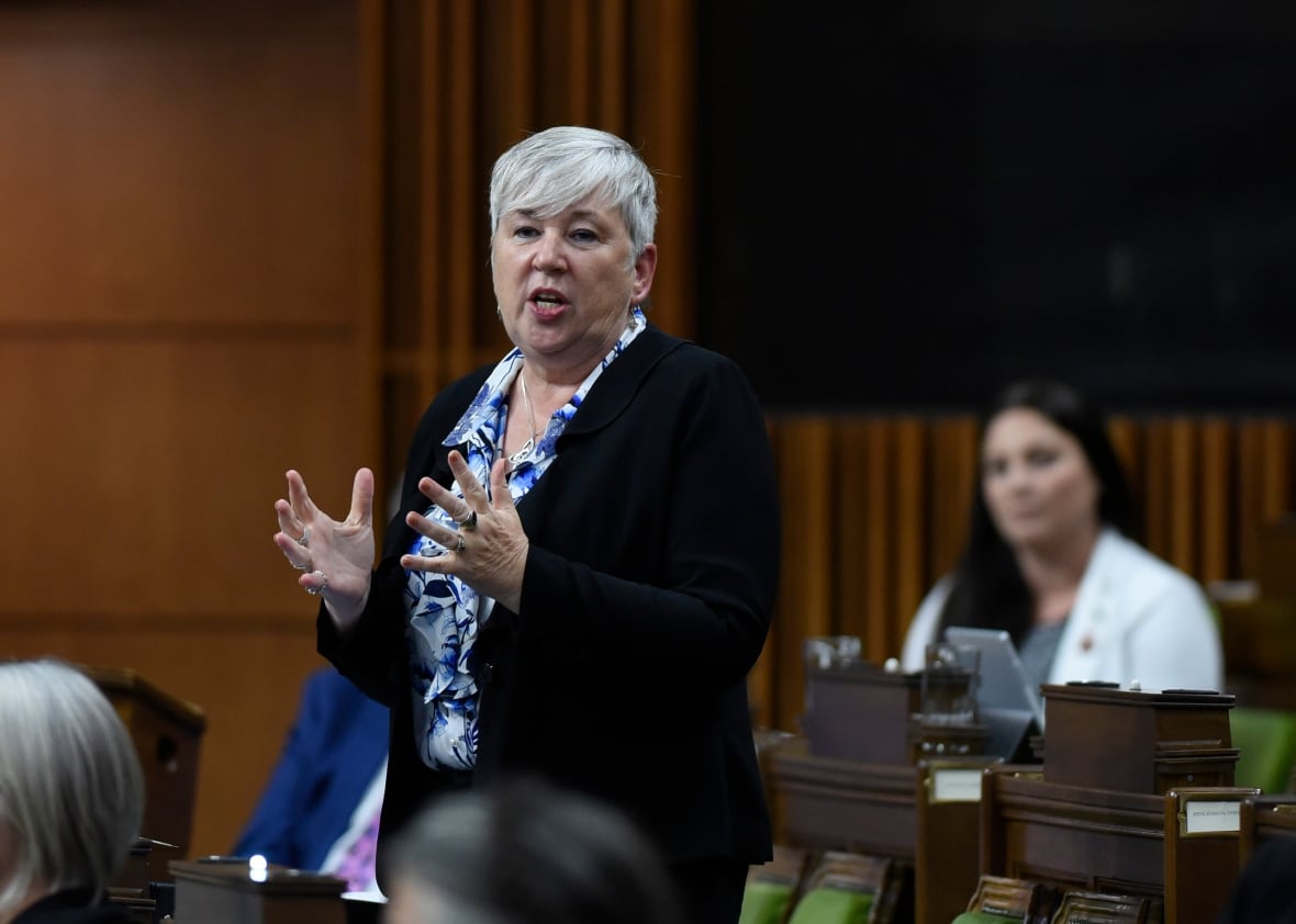 A woman with short grey hair rises in the House of Commons. 