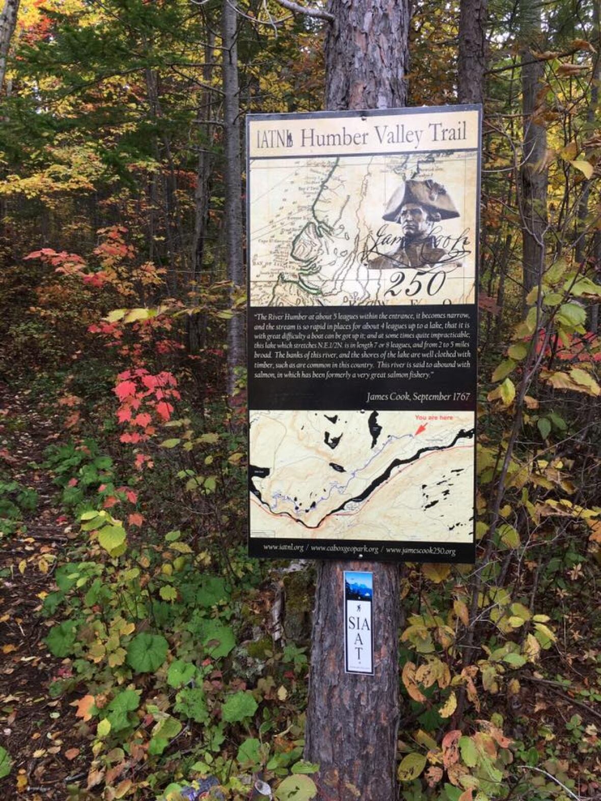 Detour ahead Humber Valley hiking trail may be rerouted due to land use conflict CBC News Detour ahead Humber Valley hiking trail may be rerouted due to land use conflict CBC News
