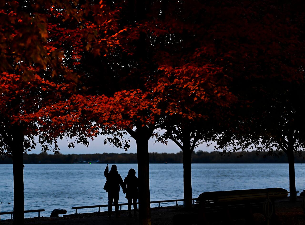 Things To Do In Hamilton This Thanksgiving Weekend Oct 8 11 Cbc News