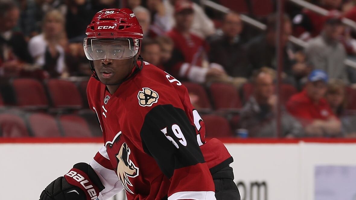 Jalen Smereck, target of racist taunt, parts ways with Ukrainian Hockey  League club | CBC Sports